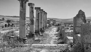 IMAGES de VOLUBILIS